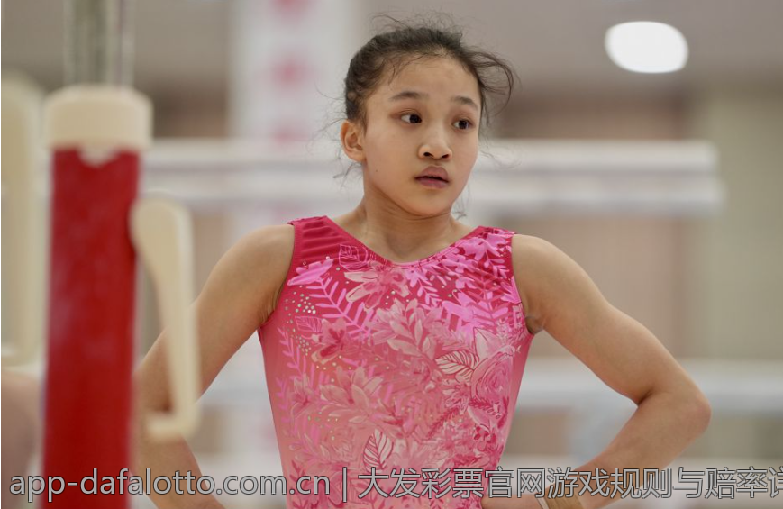 大发彩票官网游戏规则与赔率详细解析