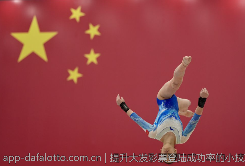 提升大发彩票登陆成功率的小技巧