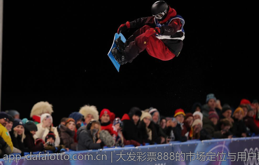 大发彩票888的市场定位与用户群分析