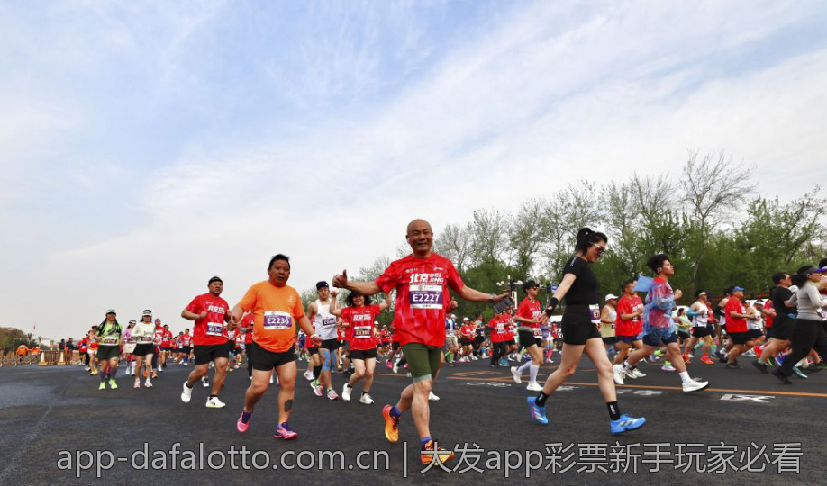 大发app彩票新手玩家必看